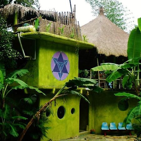 Casa Caracol San Luis Potosí Exterior foto